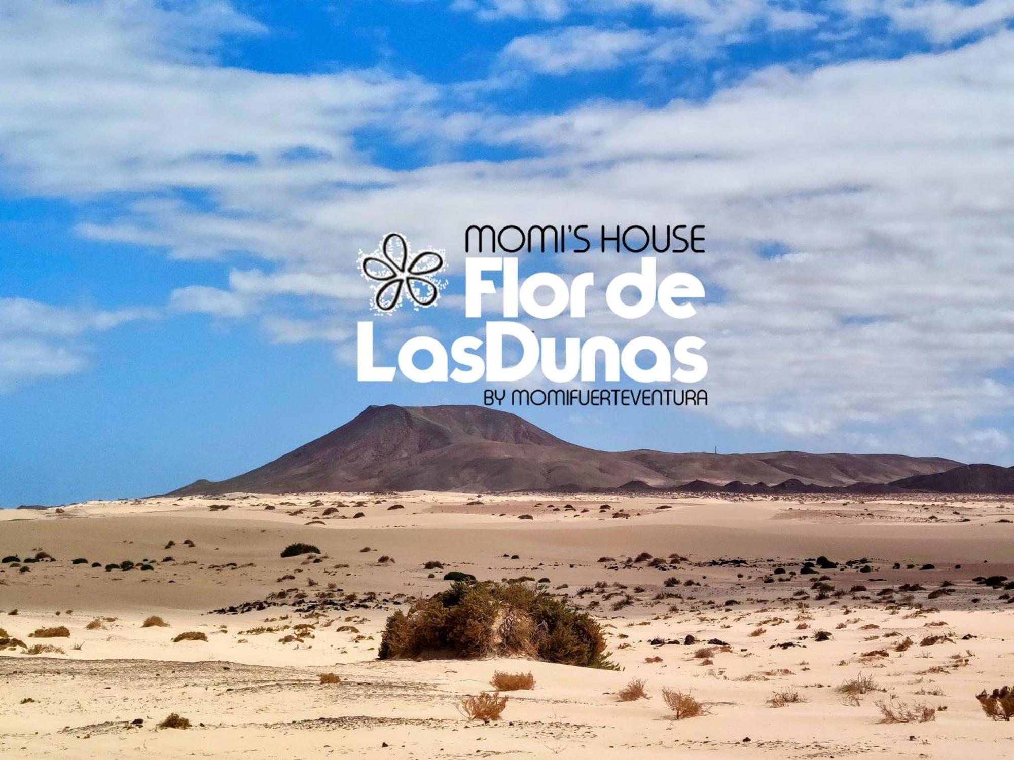 Flor De Las Dunas Pools Wifi Tennis Bikes For Free 科拉雷侯 外观 照片